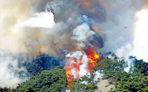 서울 인왕산에 큰 불…충남 홍성·대전 등 전국 30곳 산불