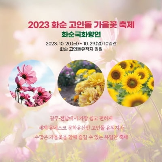 화순 고인돌공원 가을꽃 축제 20일 개막