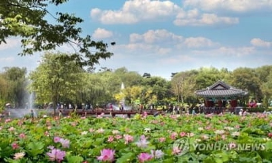 부여서동연꽃축제, 7월 5∼7일 궁남지 일원서 열려