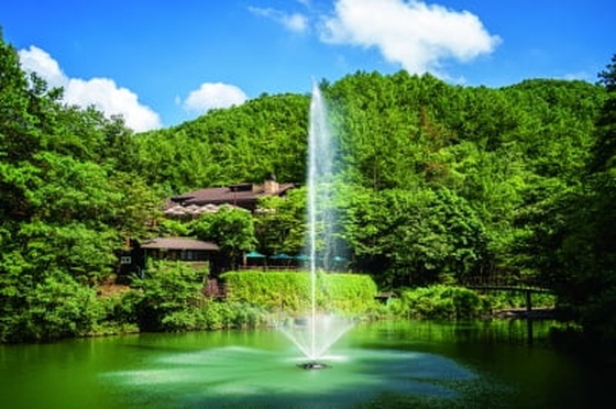 대전 만인산자연휴양림