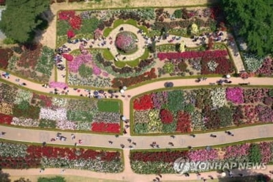 '우리 모두가 장미' 곡성군 세계장미축제 5월 개최